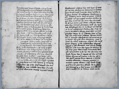 Voiage d'oultre mer du comte de Pontieu (XIIIe si?cle)